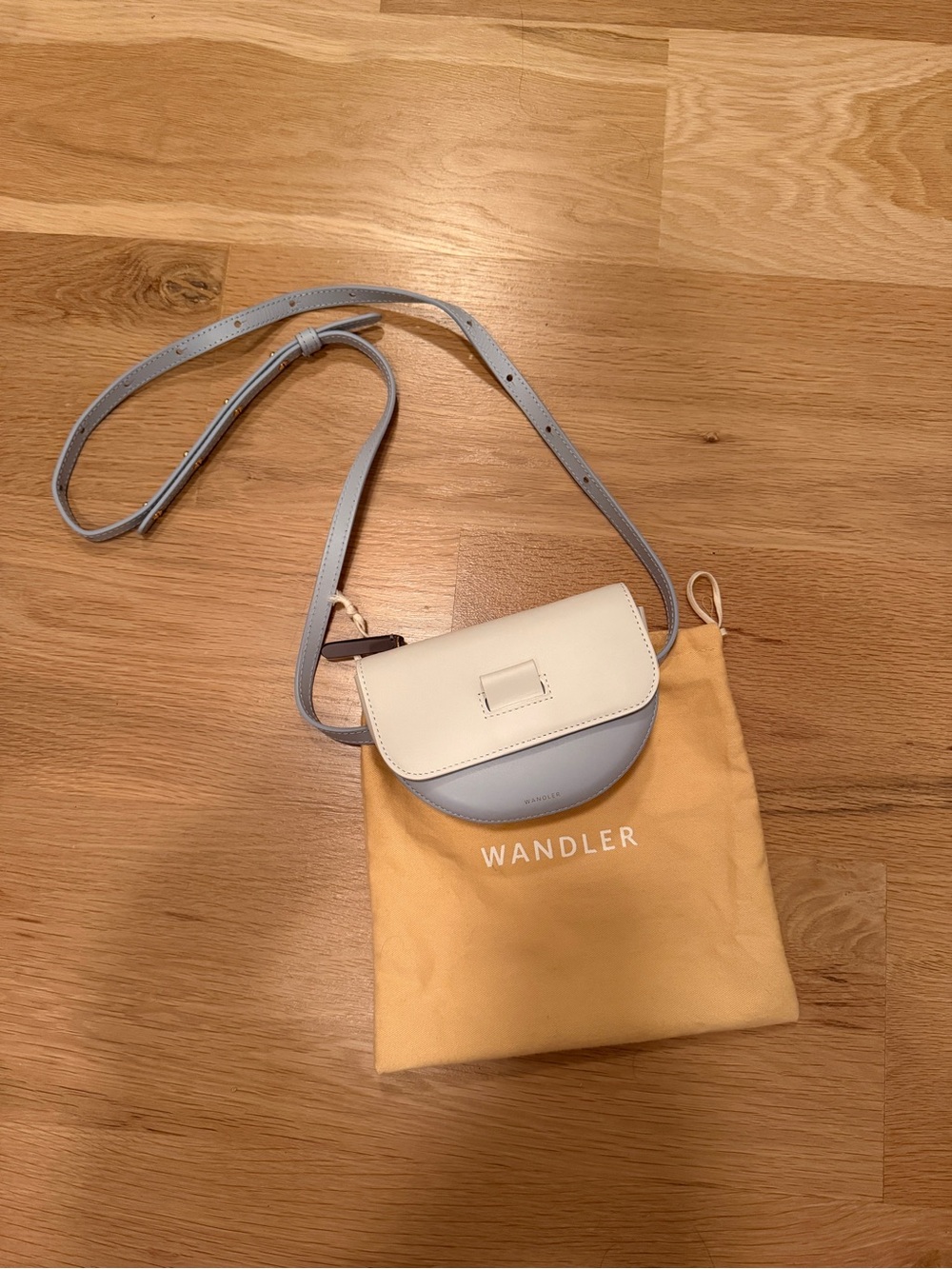 Wandler Light Blue and White Mini Saddle Crossbody